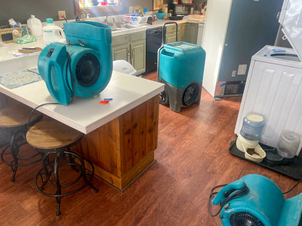 Best Water damage contractors near me  in Compo, CT