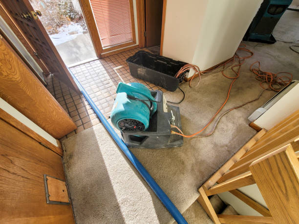 Best Water damage contractors near me  in Compo, CT