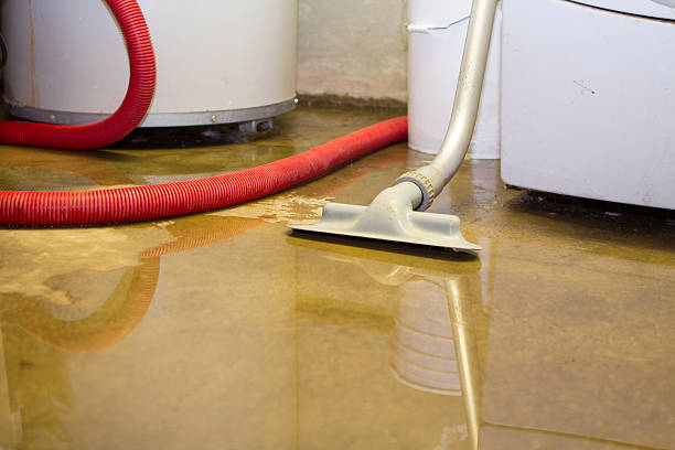 Best Local water damage restoration  in Compo, CT