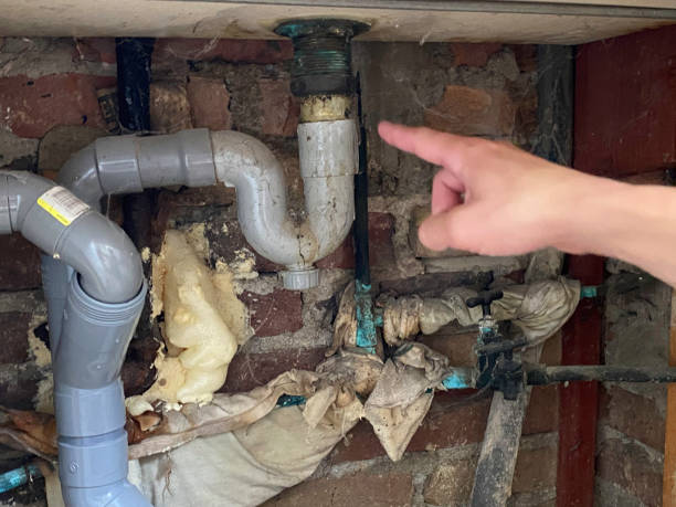 Best Flood restoration services  in Compo, CT